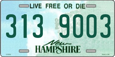 NH license plate 3139003