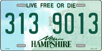 NH license plate 3139013