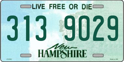 NH license plate 3139029