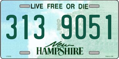 NH license plate 3139051