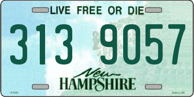 NH license plate 3139057