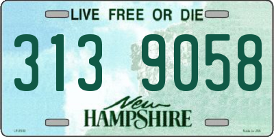 NH license plate 3139058