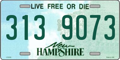 NH license plate 3139073