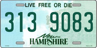 NH license plate 3139083