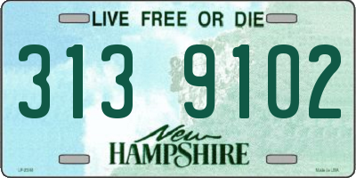 NH license plate 3139102