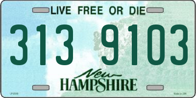 NH license plate 3139103