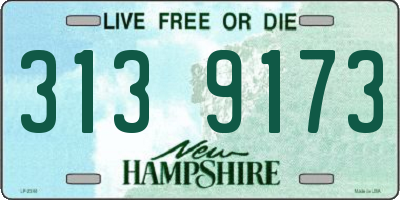 NH license plate 3139173