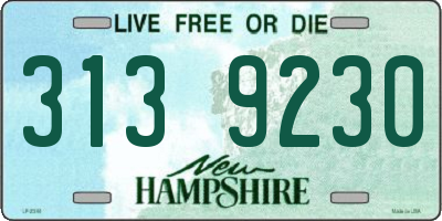 NH license plate 3139230
