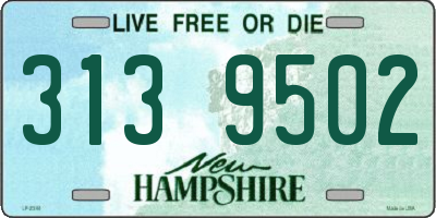 NH license plate 3139502