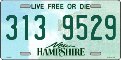 NH license plate 3139529