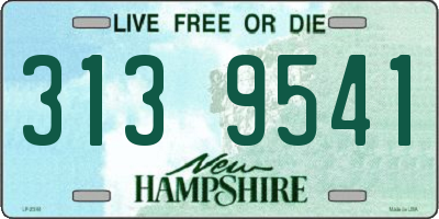 NH license plate 3139541