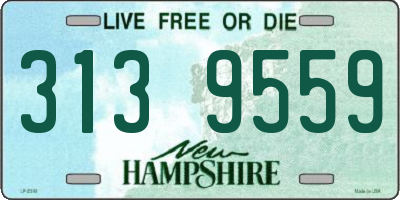NH license plate 3139559