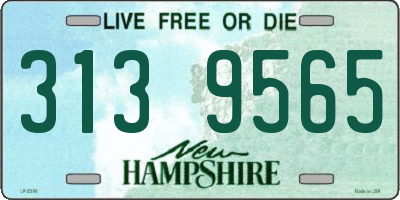 NH license plate 3139565