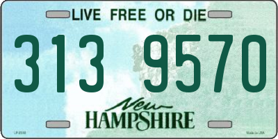 NH license plate 3139570