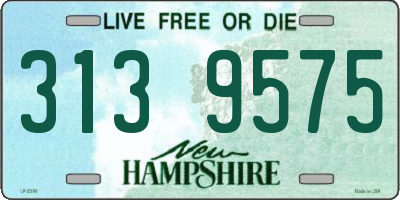 NH license plate 3139575