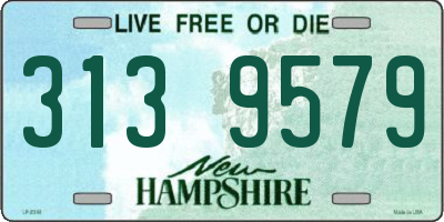 NH license plate 3139579