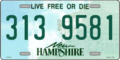 NH license plate 3139581