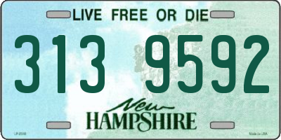 NH license plate 3139592