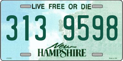 NH license plate 3139598