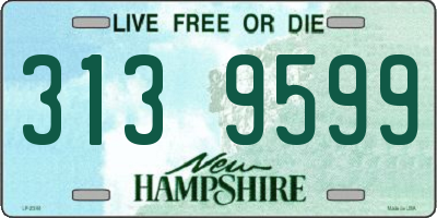 NH license plate 3139599