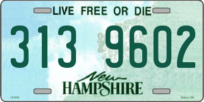 NH license plate 3139602