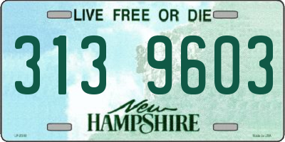 NH license plate 3139603