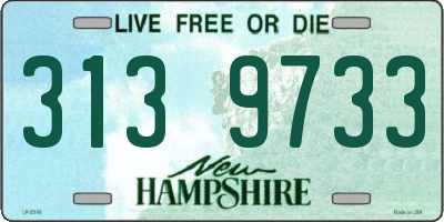 NH license plate 3139733