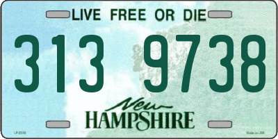 NH license plate 3139738