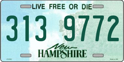 NH license plate 3139772