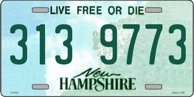 NH license plate 3139773