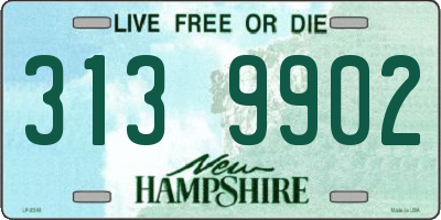 NH license plate 3139902