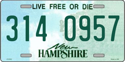 NH license plate 3140957