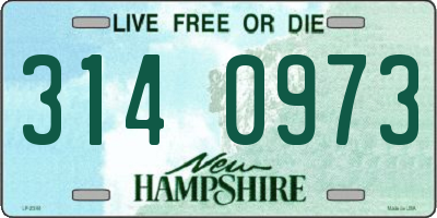 NH license plate 3140973