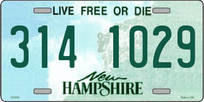 NH license plate 3141029
