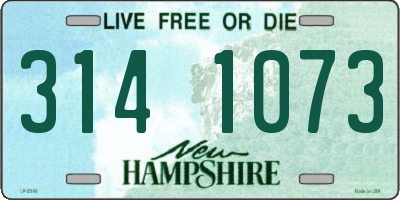 NH license plate 3141073