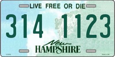NH license plate 3141123