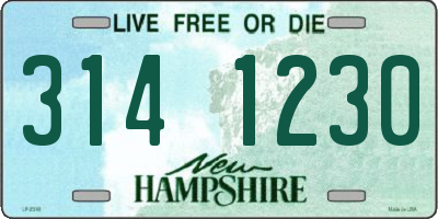 NH license plate 3141230