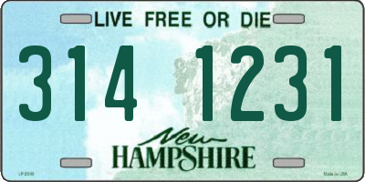 NH license plate 3141231