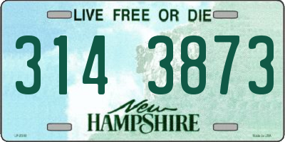 NH license plate 3143873