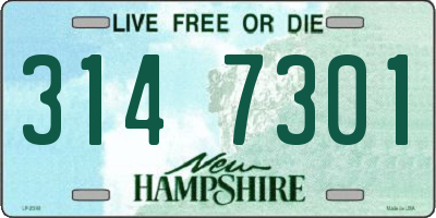 NH license plate 3147301