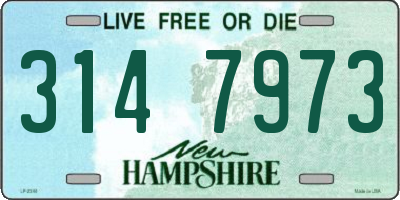 NH license plate 3147973