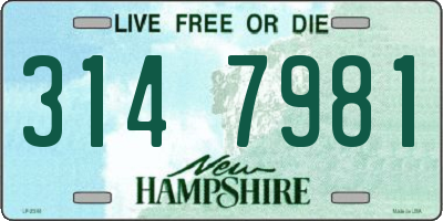NH license plate 3147981