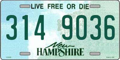 NH license plate 3149036