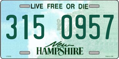 NH license plate 3150957