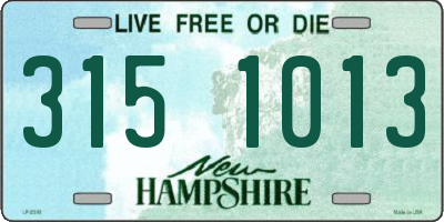 NH license plate 3151013