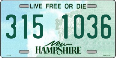NH license plate 3151036