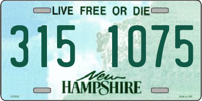 NH license plate 3151075