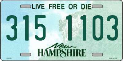 NH license plate 3151103