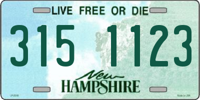 NH license plate 3151123