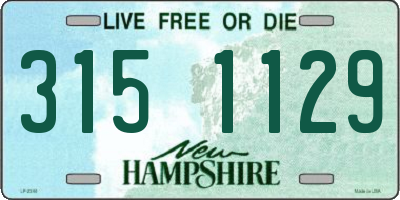 NH license plate 3151129